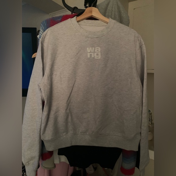 ALEXANDER WANG FULL SET SWEATSUIT - Picture 9 of 11